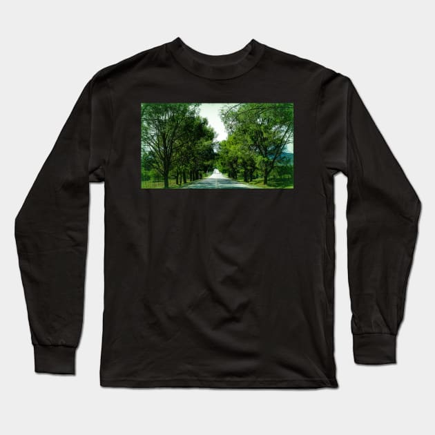 Pathway Long Sleeve T-Shirt by tryspiritual